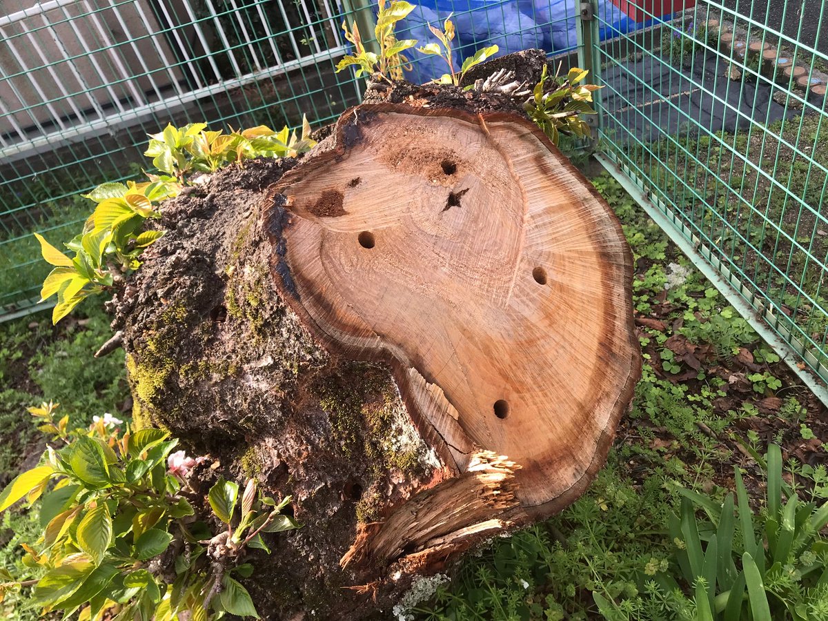 シタデル LLC tweet media