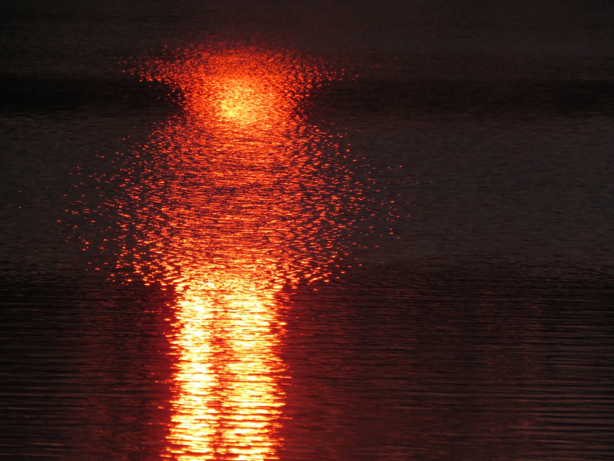 Christianhaiku1's tweet photo. For I am with you,
always, even to the end,
of the world, Amen. 
(Matthew 28:20)
#Jesusisrisen #Heisnothere #JesusisLord #ChristianFaith #christianliving #poetry #writerscommunity #sunsetphotography #photo https://t.co/i18pzRqRDG