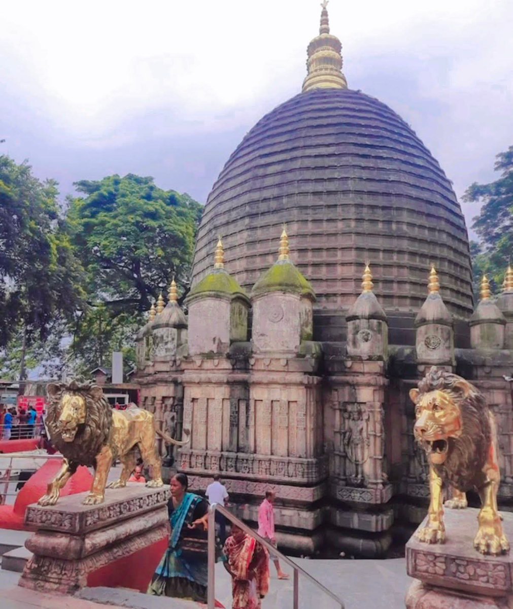 Information And Public Relations Department, HP tweet media