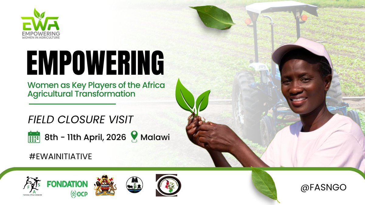 GrassToucher_0x's tweet photo. 🌱 Thanks to #OCPFoundation and partners, women’s cooperatives in Malawi 🇲🇼 are stronger and value chains improved.
This Closure Field Visit will solidify gains, ensure sustainability, and drive lasting impact.
#EWAInitiative
#NandoloFarmers https://t.co/51bhkWrQcR