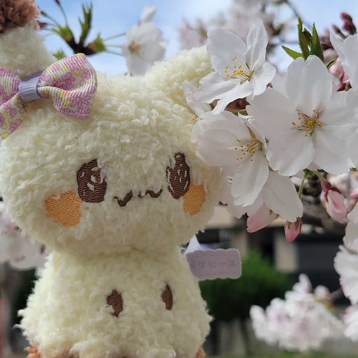 空やんるあ@ﾐｱﾚcityを周回中 tweet media