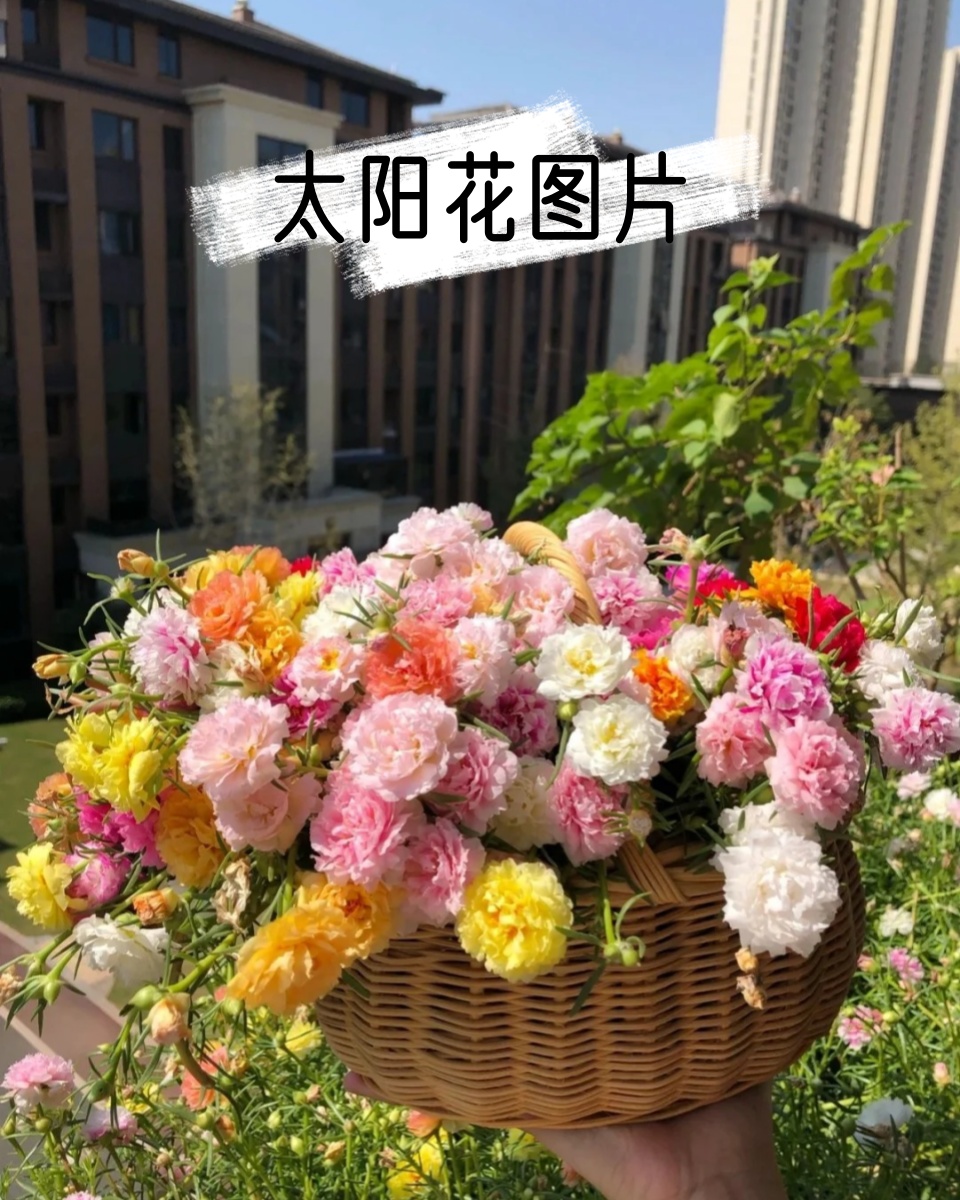 Ebru Afşiena tweet media