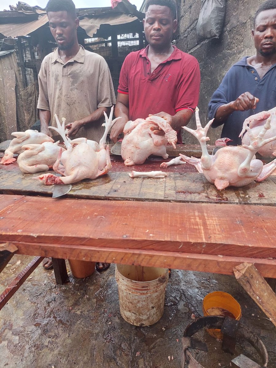 These boys charges 1k and even more to kpai and pluck out the feathers on your chicken.

Just calculate how much they go home with, while some people lazy around and practically beging for everything, while some settle for different kinds of cr.me.

Many people