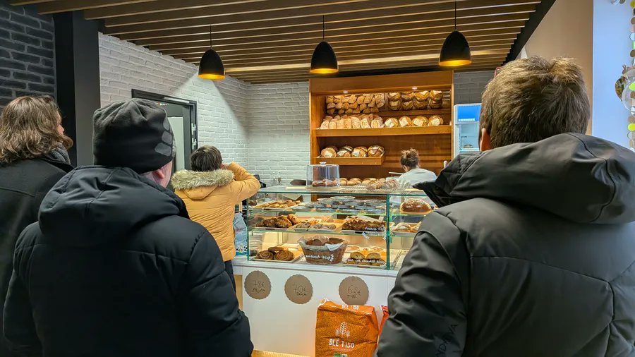 Alex Xplore tweet media