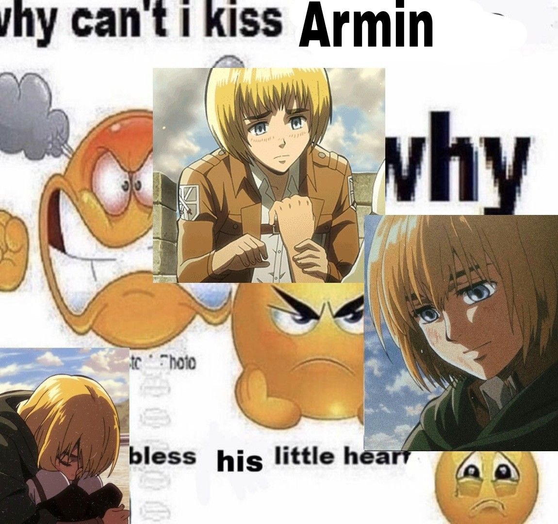 # ͏ nour tweet media