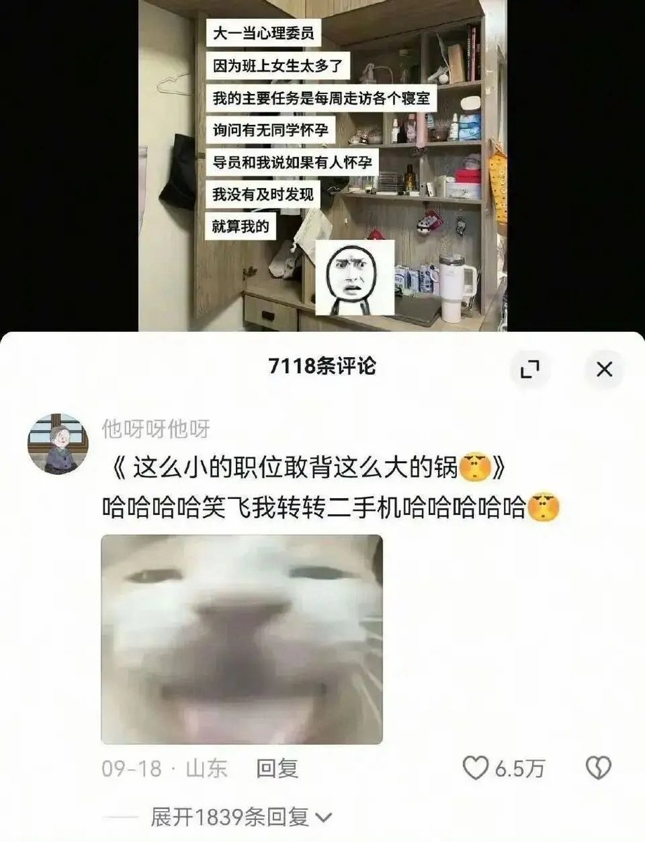 雲鳩 tweet media