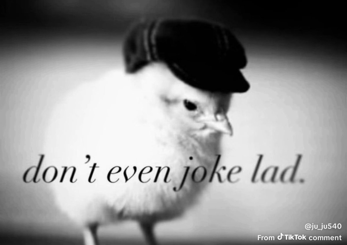 pistola pedro 🔫🏀 tweet media