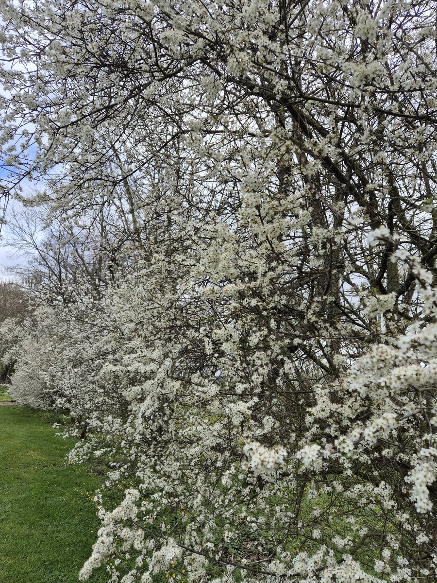 VodkaWardrobe's tweet image. Good morning ☕️ 
#Easter #BankHoliday #MondayMorning