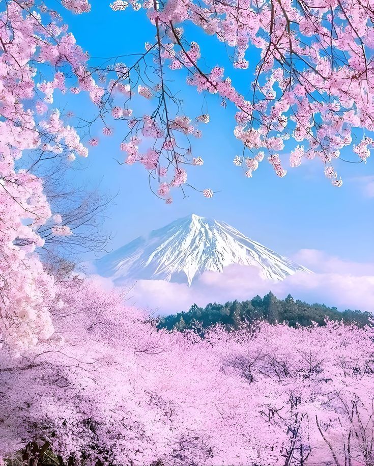 Beauty of Nature. tweet media