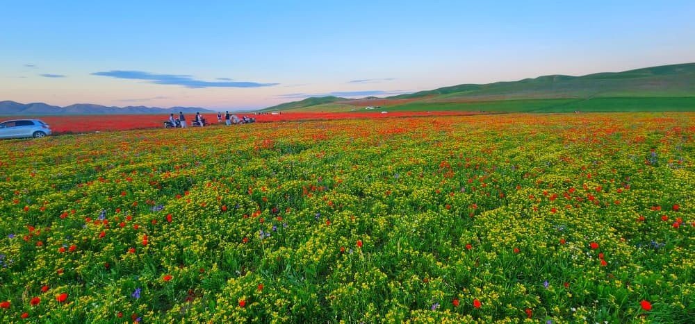 انس مبارز tweet media