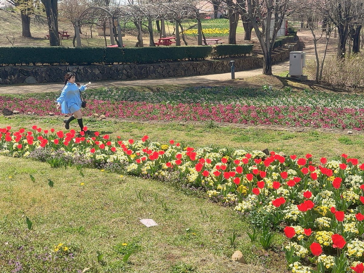 yuki_ogata22's tweet photo. 走ってる可愛いみくさん🏃‍♀️ https://t.co/KsMHXxffOf