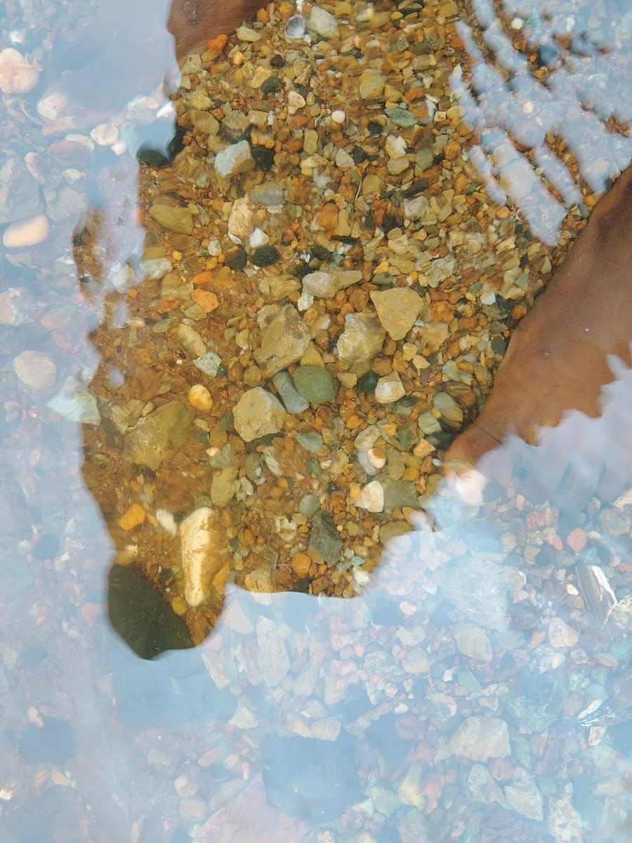 𝔅𝔩𝔞𝔠𝔨 𝔥𝔢𝔞𝔯𝔱🖤𝔅𝔩𝔞𝔠𝔨 𝔦𝔰 𝔭𝔬𝔢𝔱í𝔠 tweet media