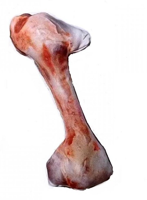 Taha Furkan İşlek tweet media