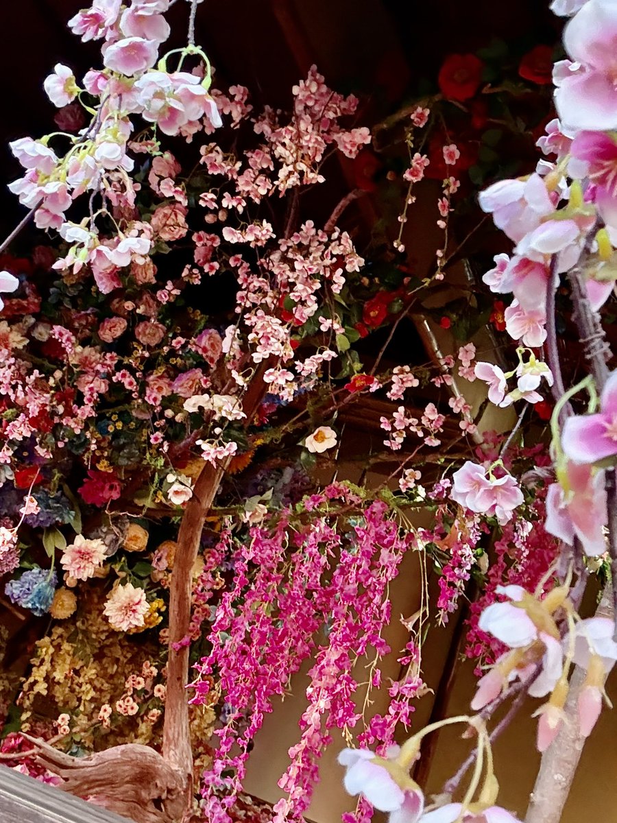 alexchan0418's tweet photo. 人瘋櫻花^我看展^ ^
拜日本交通網絡暢通穿梭下！愜意的到達京都的北野天滿宮靜心參拜後，正式進入蜷川実花《DAZZLE》的色彩世界。花影與光流轉，將傳統與當代之間，遇見一場絢爛而短暫的美。

DAZZLEX蜷川実花
展期至2026.05.24止
#京都 #北野天滿宮 #蜷川実花 #DAZZLE #京都展覽 https://t.co/NLNqJg98is