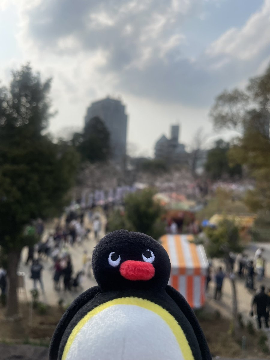 bli0545's tweet photo. 今年はお花見でけたねん https://t.co/q7qNSZmBk9