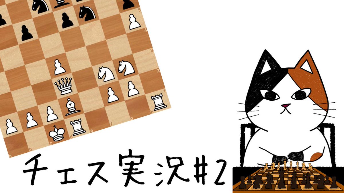 三毛猫 tweet media