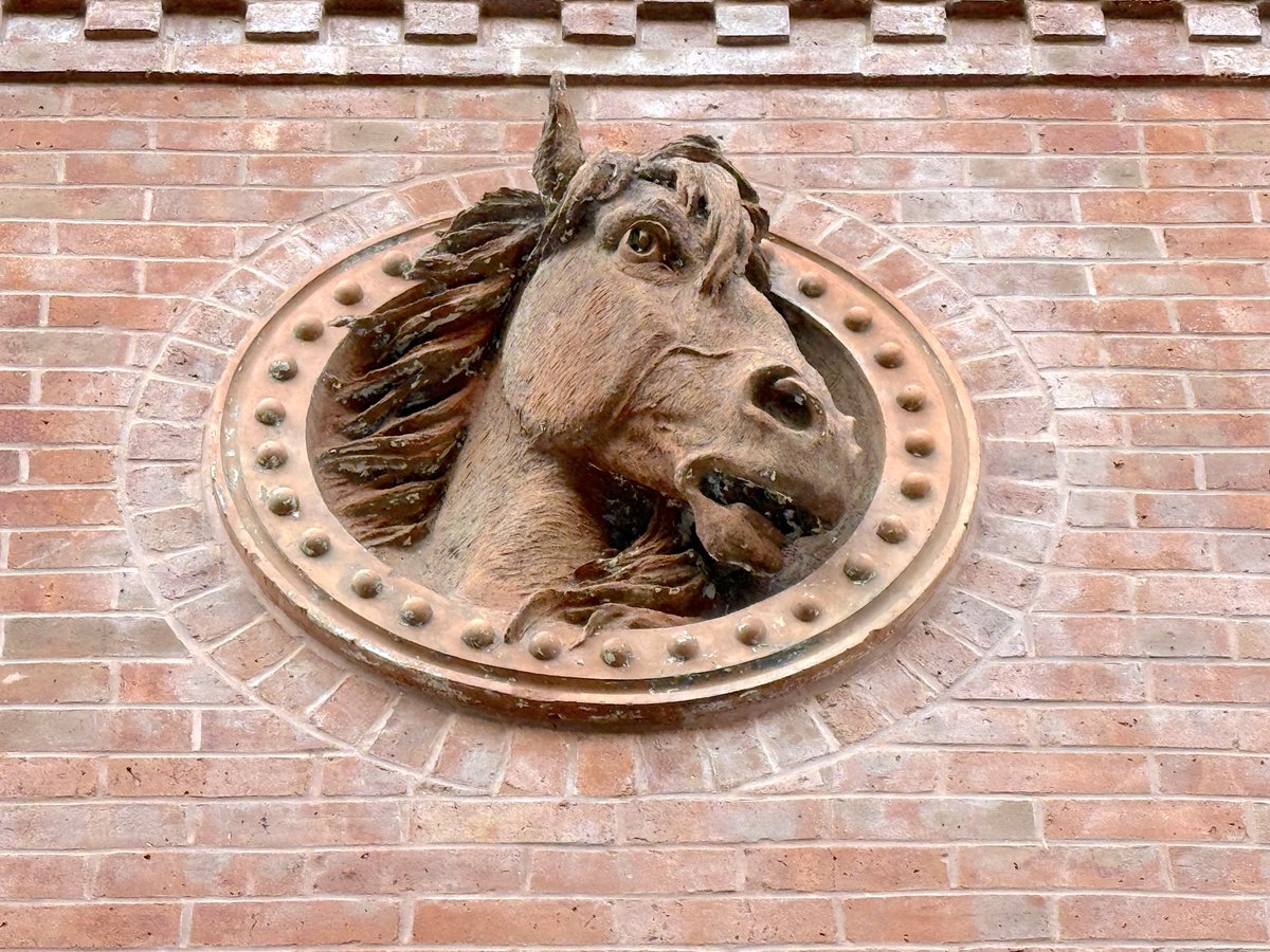 Ephemeral New York tweet media