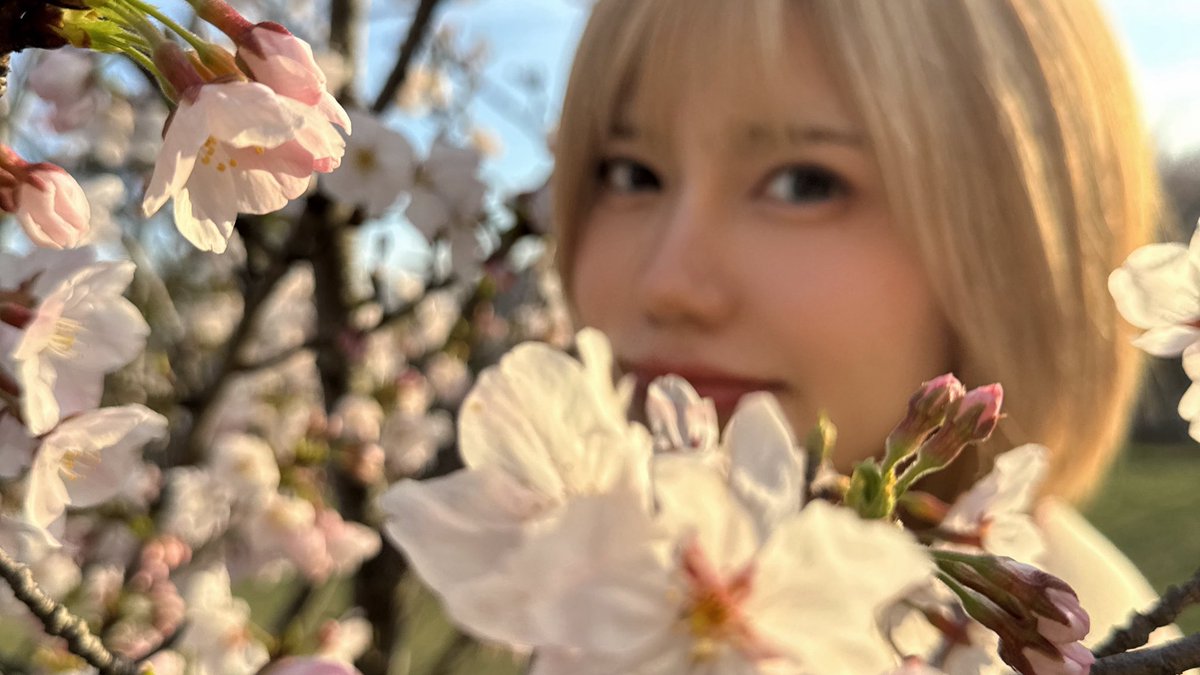 ぴかちゃん🌟🌈💫 tweet media