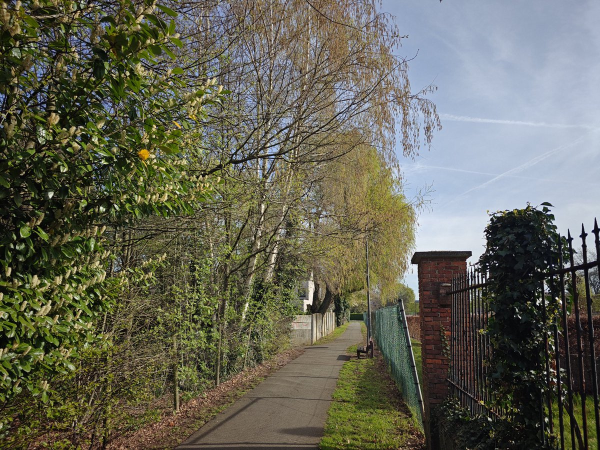 Kris Van Linden tweet media