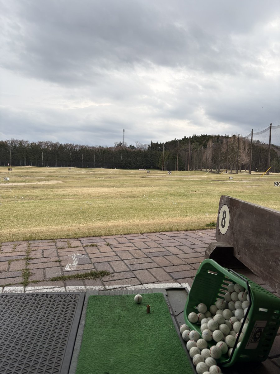 とんかつ亭 わた美 公式 😃 tweet media