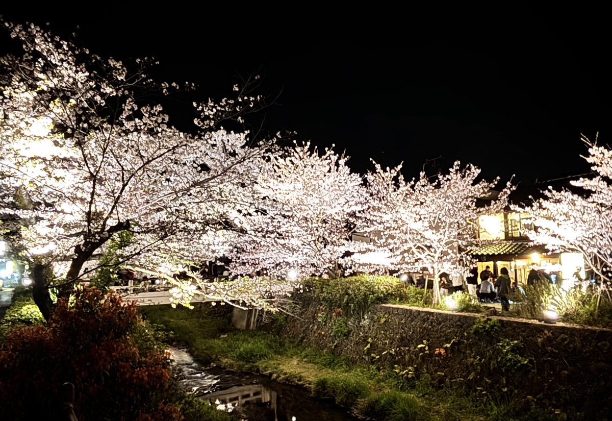 山田香織 tweet media