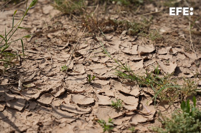 ENTREVISTA | El cambio climático es "un elemento recurrente" en diferentes episodios históricos.

Así lo asegura, en una entrevista con EFE la periodista Lizzie Wade, que publica 'Apocalipsis' (GeoPlaneta) en España.

efe.com/medio-ambiente…