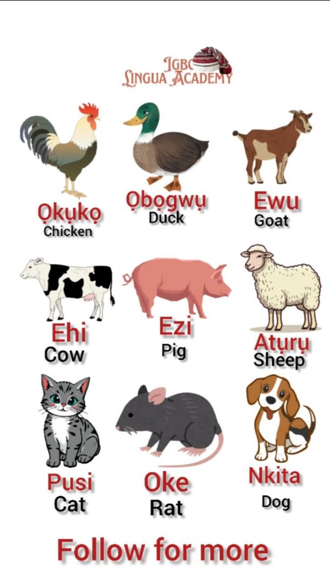 Amobi Kachi tweet media