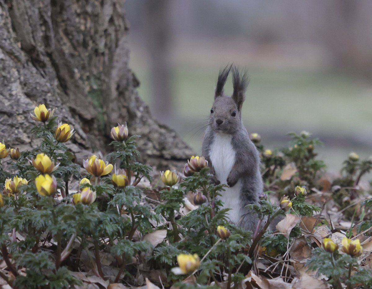 じゅんじゅん tweet media