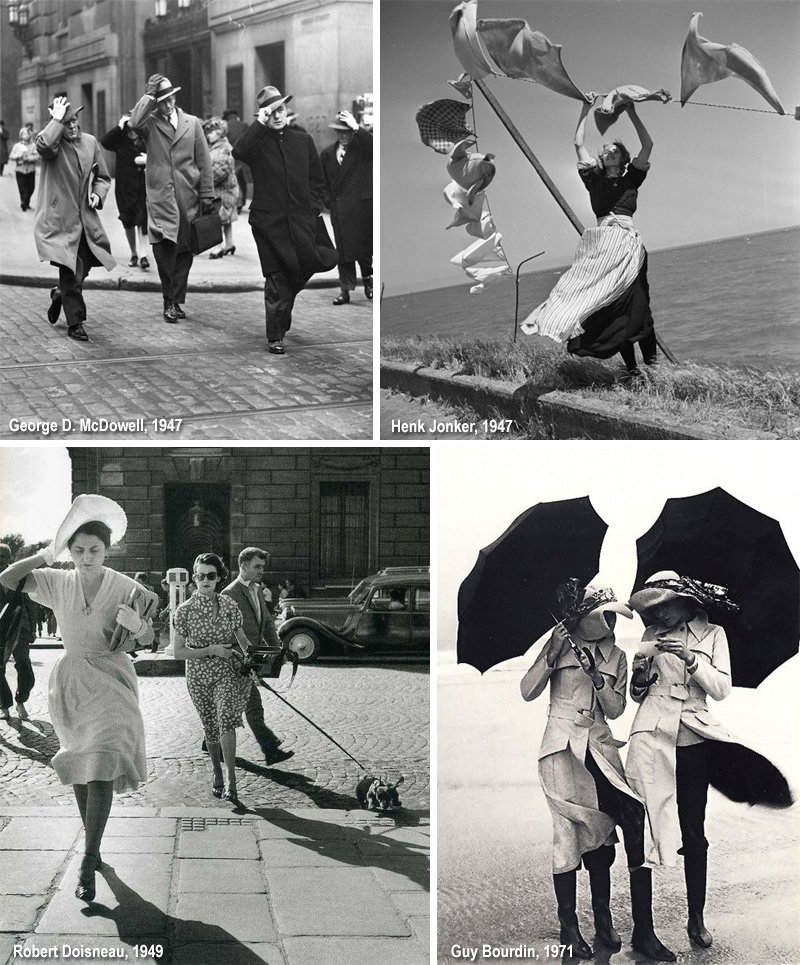 Casa Lettori tweet media