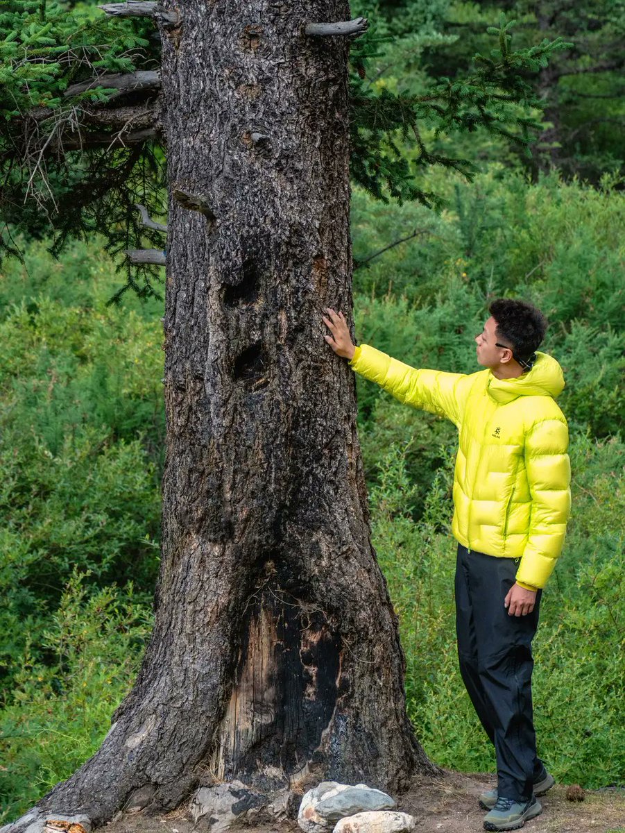 Thomas Gerald Bonow tweet media