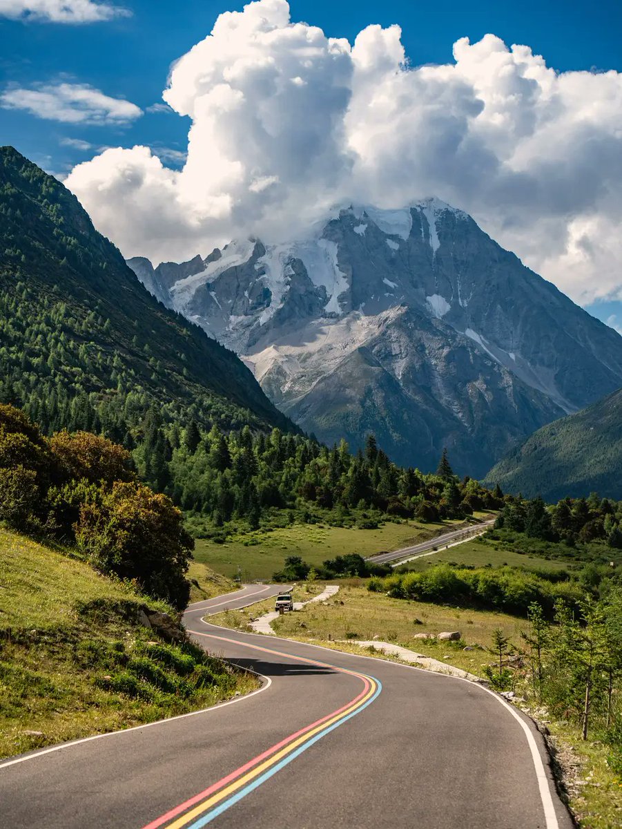 Thomas Gerald Bonow tweet media