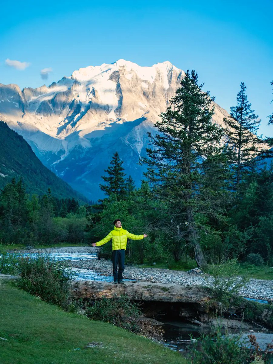 Thomas Gerald Bonow tweet media