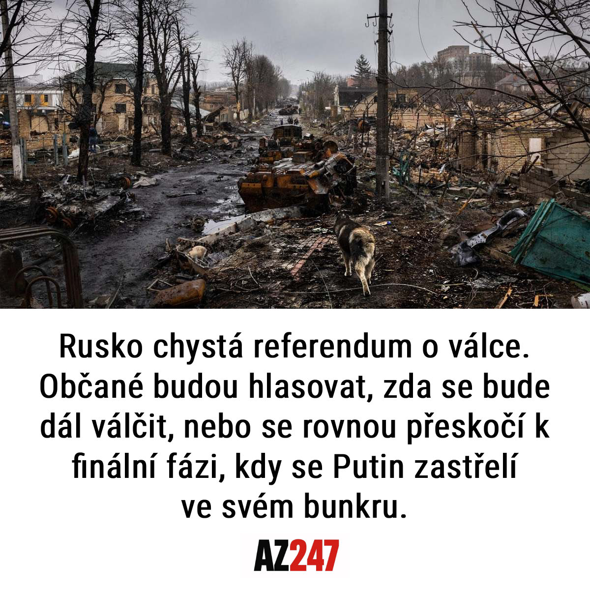 AZ247.cz tweet media