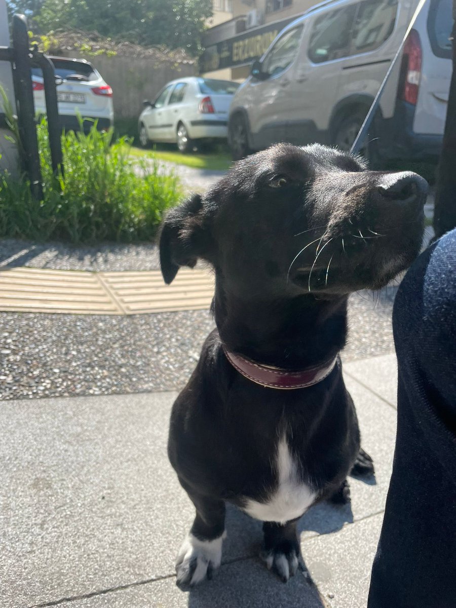 sumatra🌈 tweet media