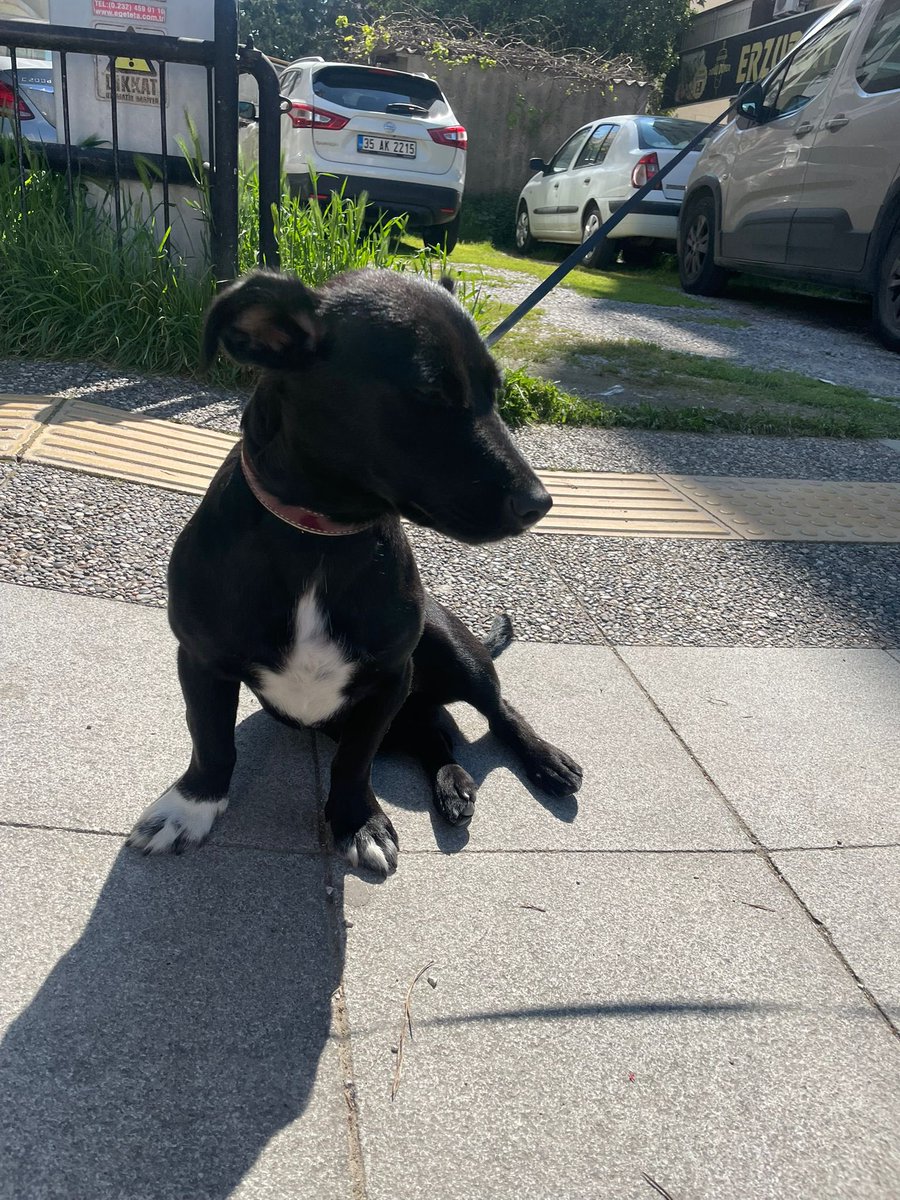 sumatra🌈 tweet media