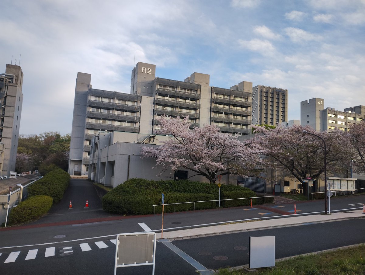 微分大魔神 tweet media