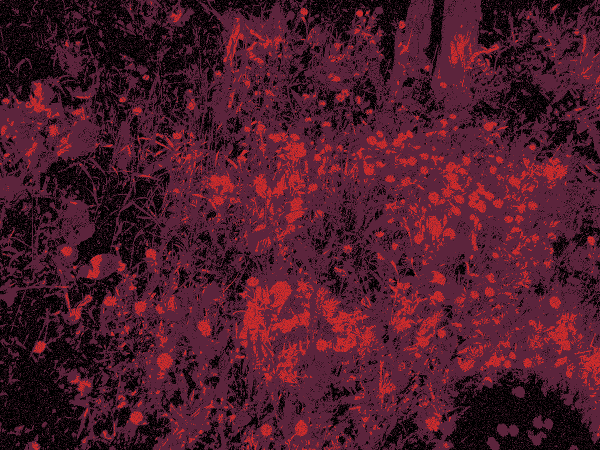 MilkSlvt tweet media