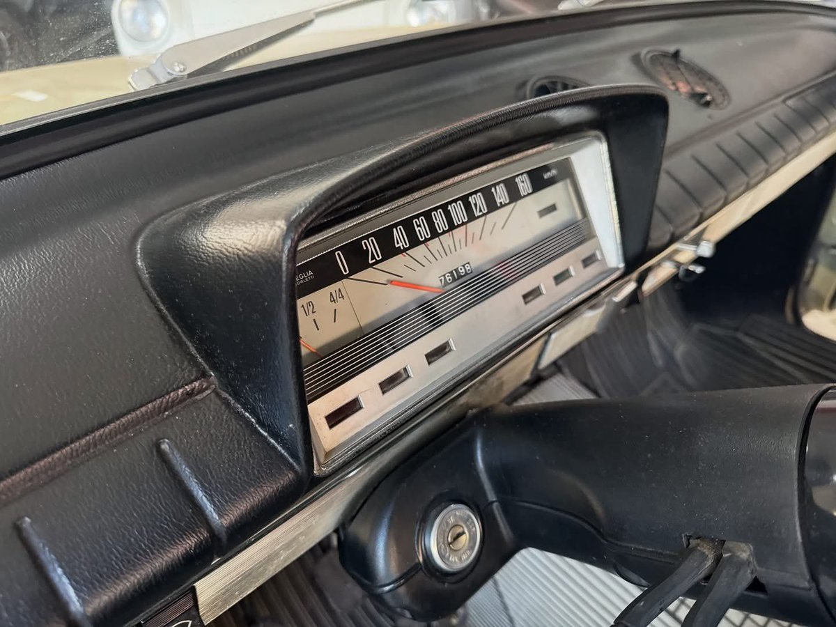 L’Oasi di Salvo tweet media