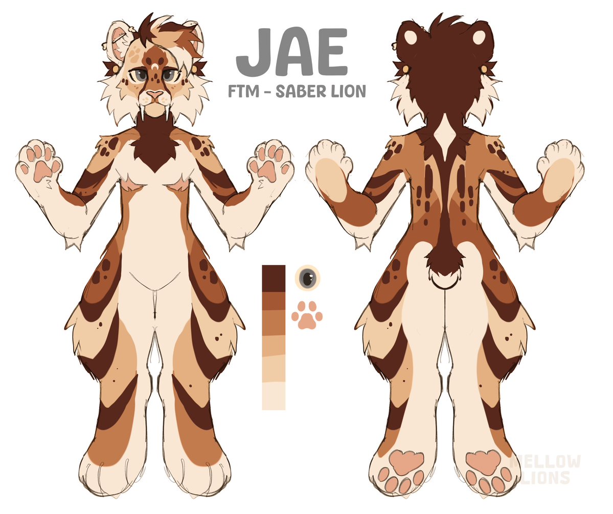 pekoe ˚⟡˖ ࣪ COMMS OPEN tweet media