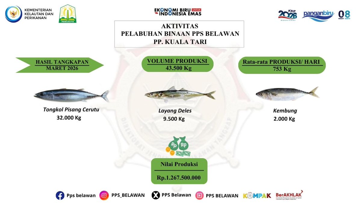 PPS Belawan tweet media