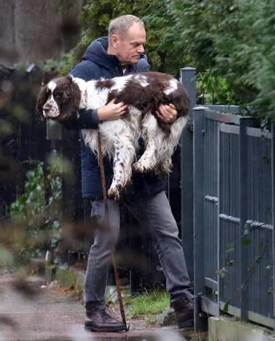 Monstrum Ex Ferrum tweet media