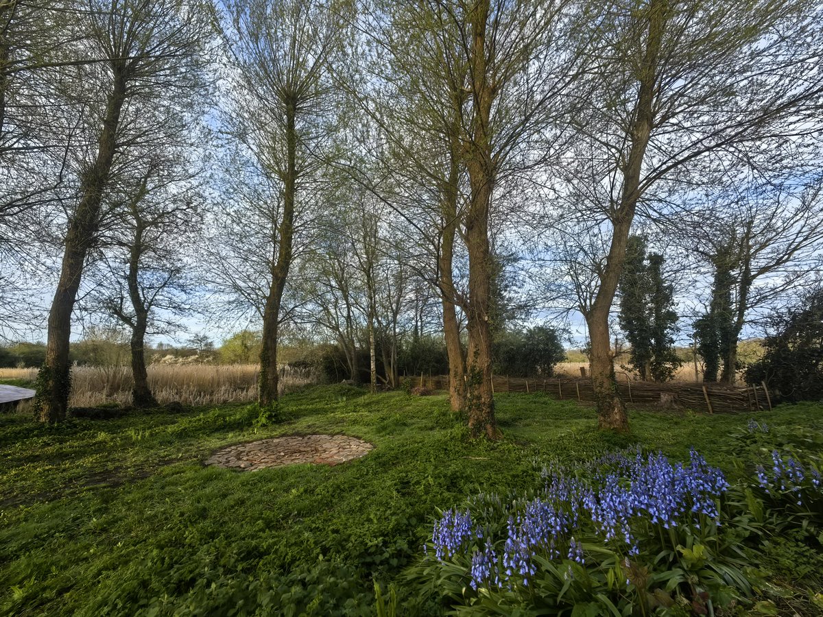 Nadezna Mandhari tweet media