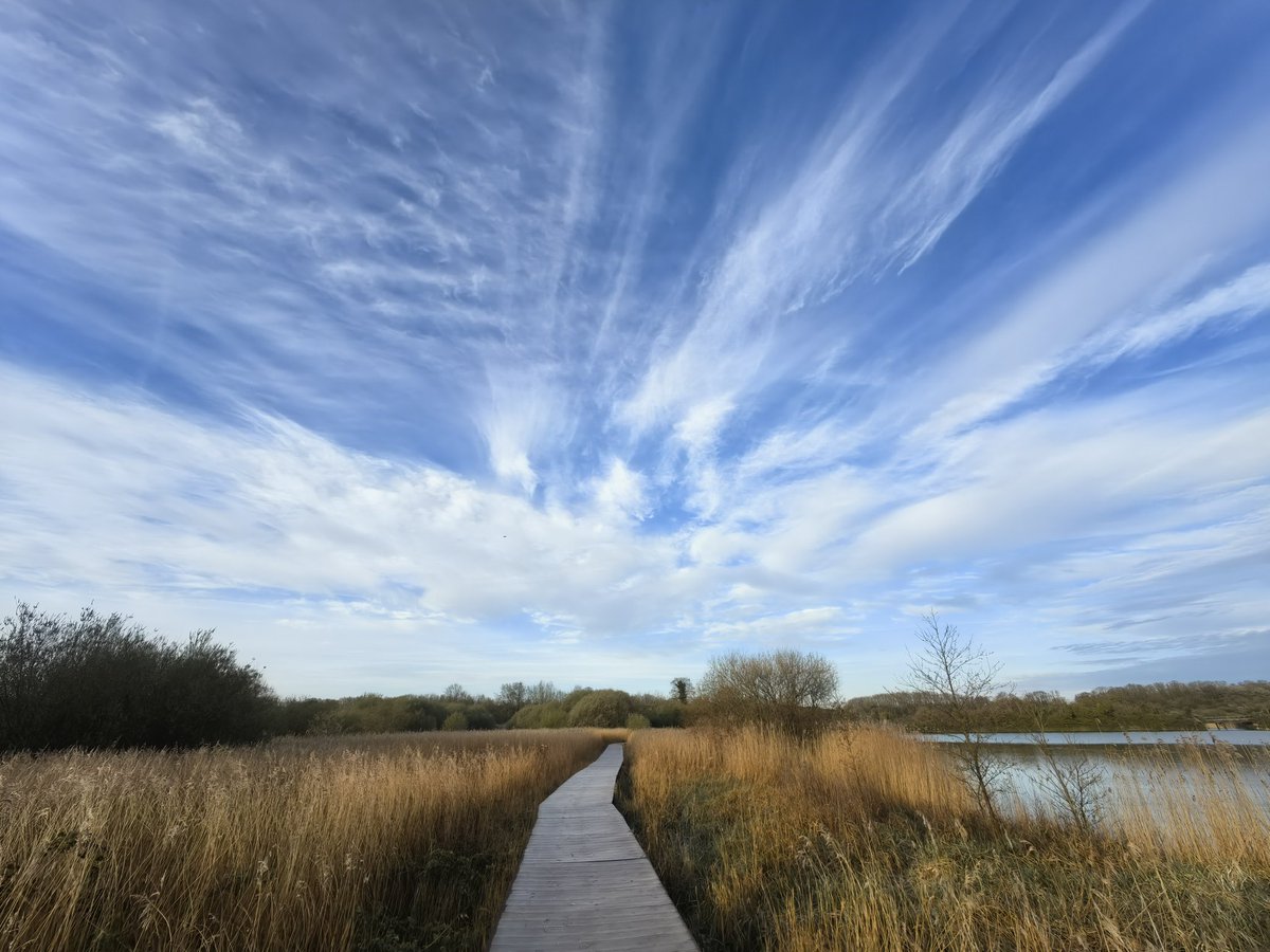 Nadezna Mandhari tweet media