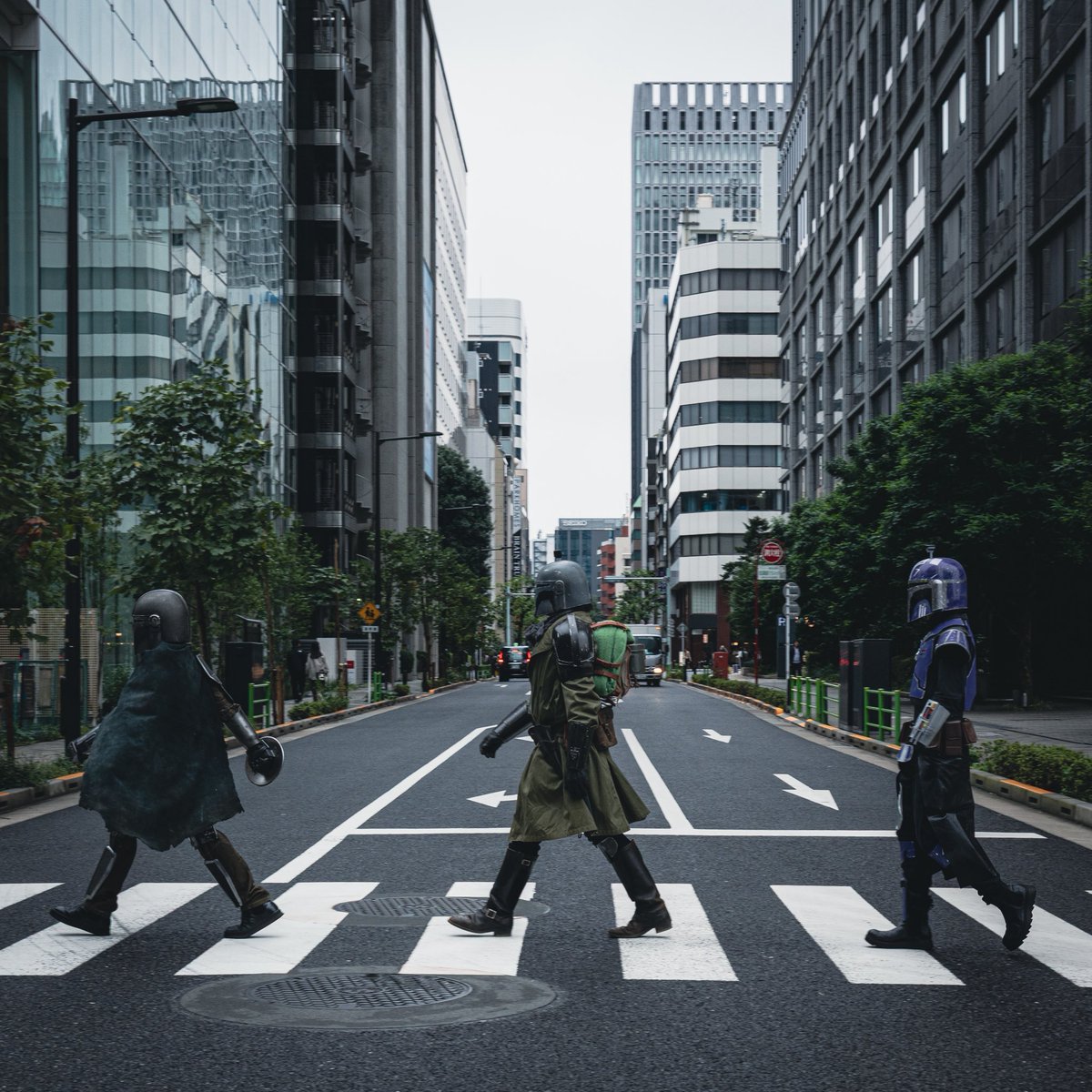 銃槍の烏骨鶏 tweet media