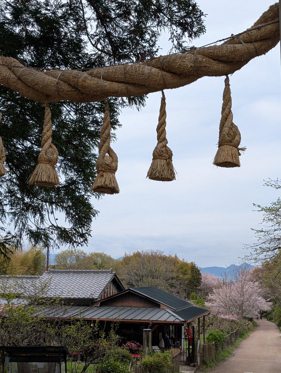 扶余と飛鳥 tweet media