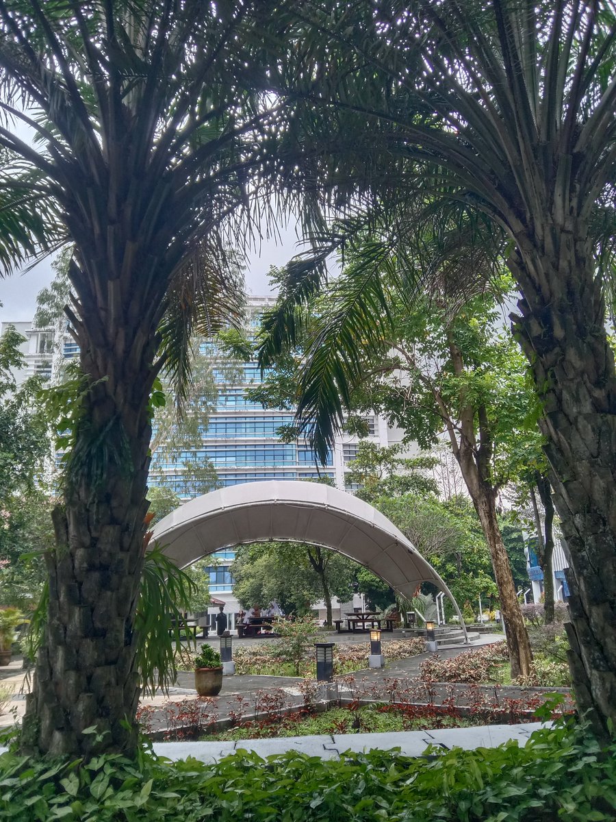 Vertebrata tweet media