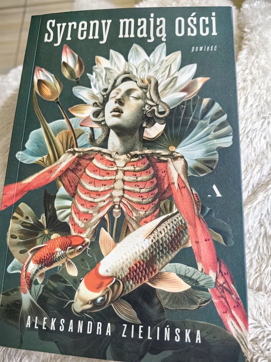 Aries ♿ tweet media