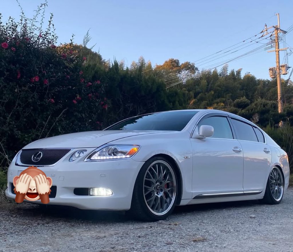 luckyまろん【麿】🦇 tweet media