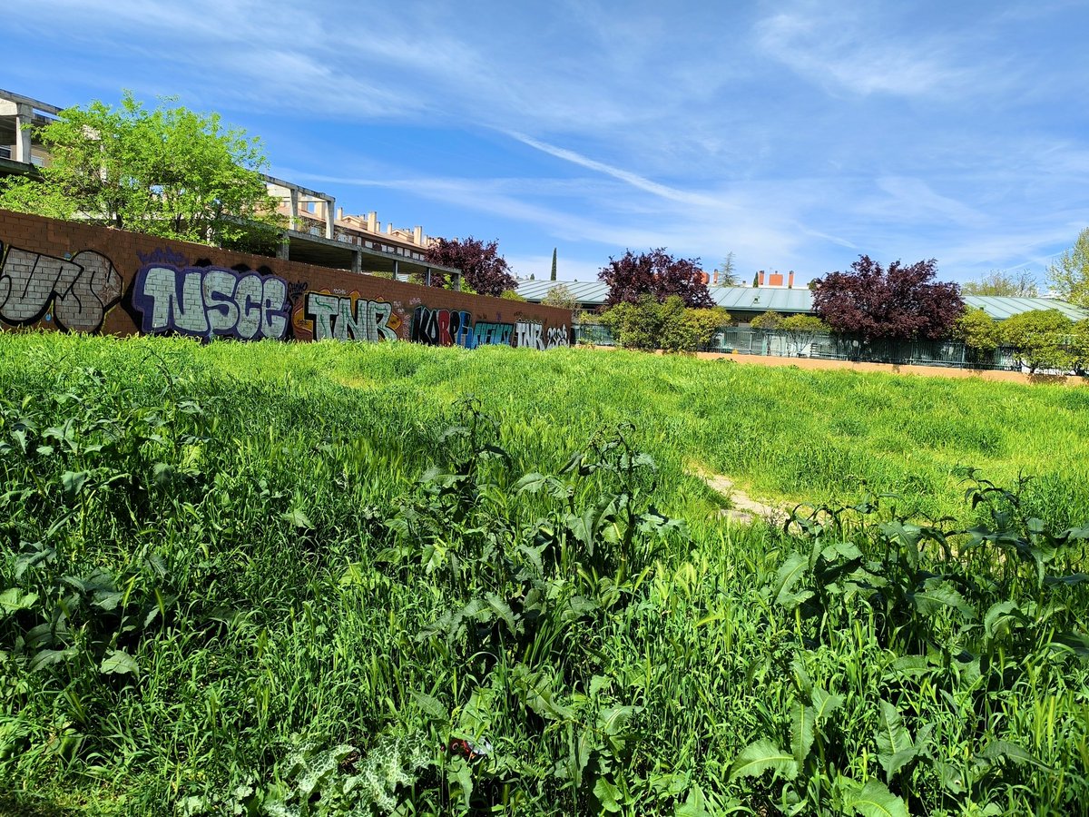 Corto Maltes tweet media