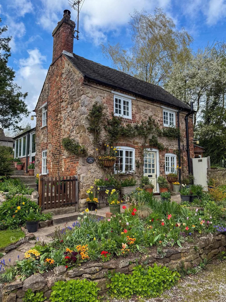 beauti_animals's tweet image. 📍Derbyshire, England 🏴󠁧󠁢󠁥󠁮󠁧󠁿